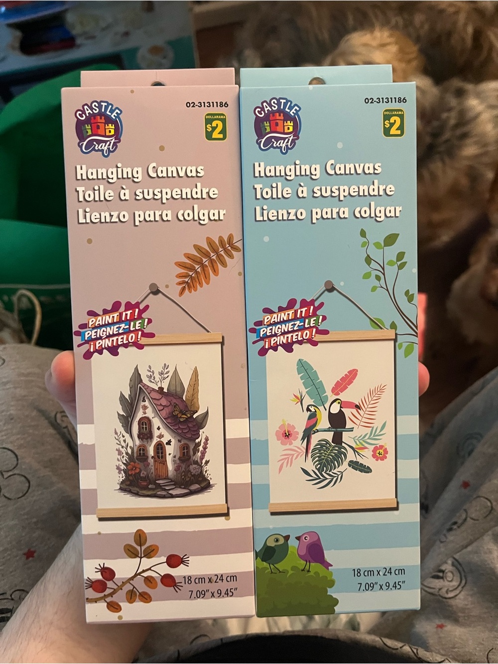FREE! Castle Craft Hanging Canvas - Both For Free with $10 min purchase